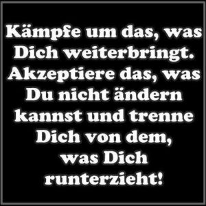 542593_515556311815799_1502026101_n