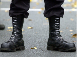 neonazis2-lokalzeitung-Foto Lausitzer Rundschau