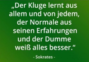 Dumme