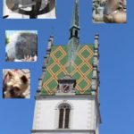IMG_6070