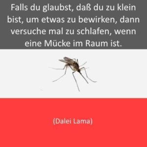 Kappel6