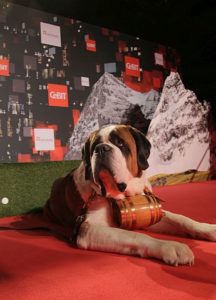 cebitPartnerland_Schweiz_CeBIT_AVCT