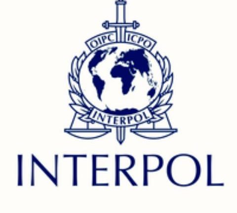 Interpol20210125-WA0006